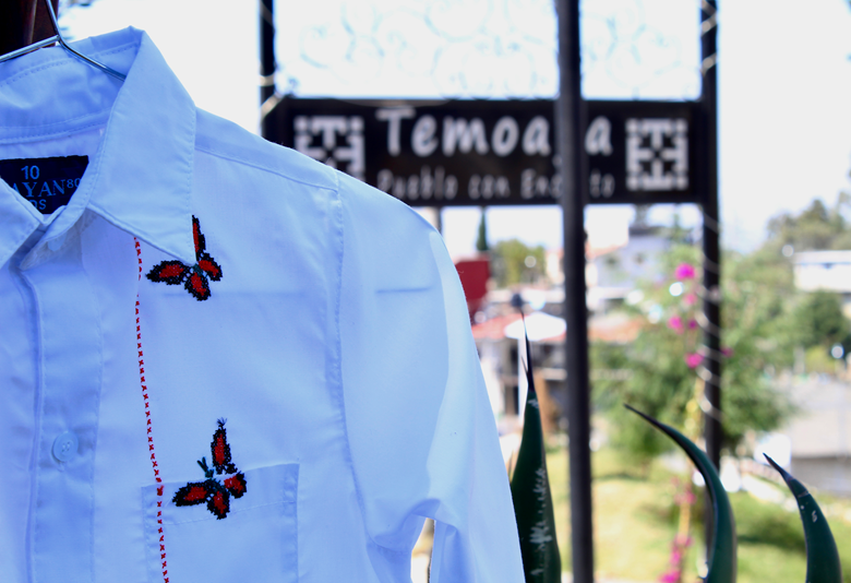 Banner principal